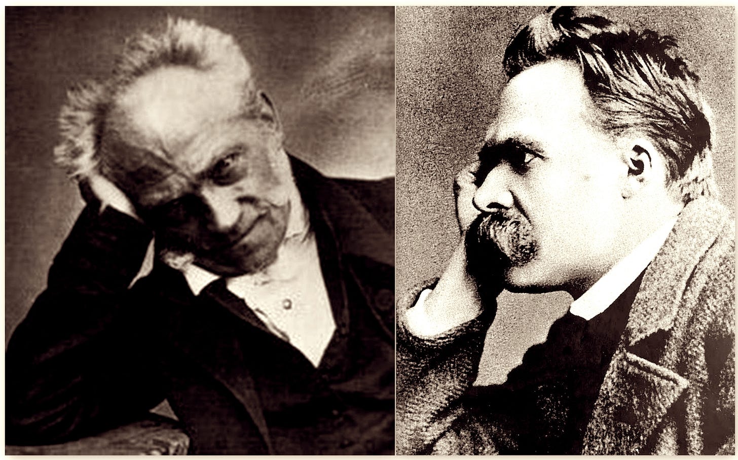 A morte sob a ótica da filosofia: A ótica de Schopenhauer e Nietzsche  diante da morte