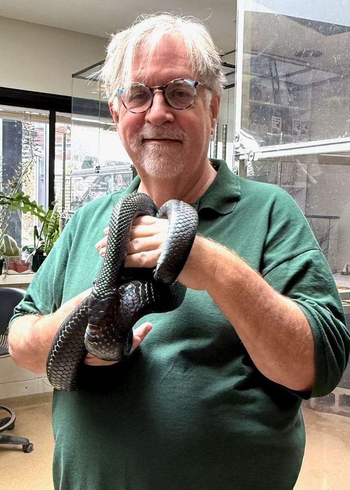 The Rock Bottom Remainders in Omaha - Dave Barry’s Substack