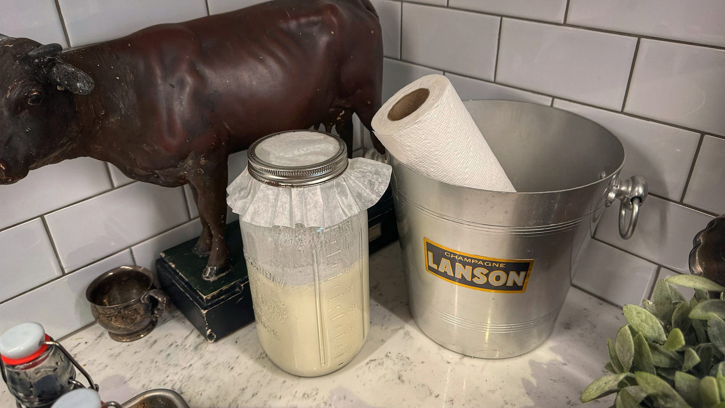 The covered jar of mixed cream and yogurt in the corner of the ktichen, beside an ice bucket holding a roll of paper towl and a statue of a cow. 