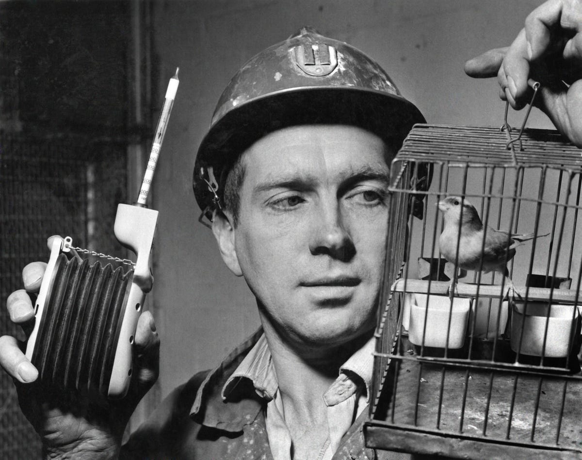 The Canary In The Coal Mine Isn't Ancient History