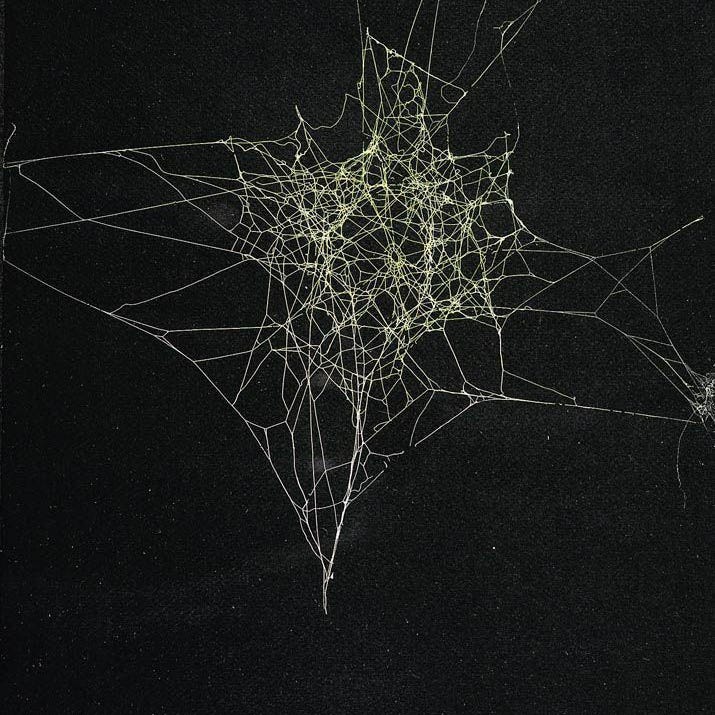 multiworld manifolds