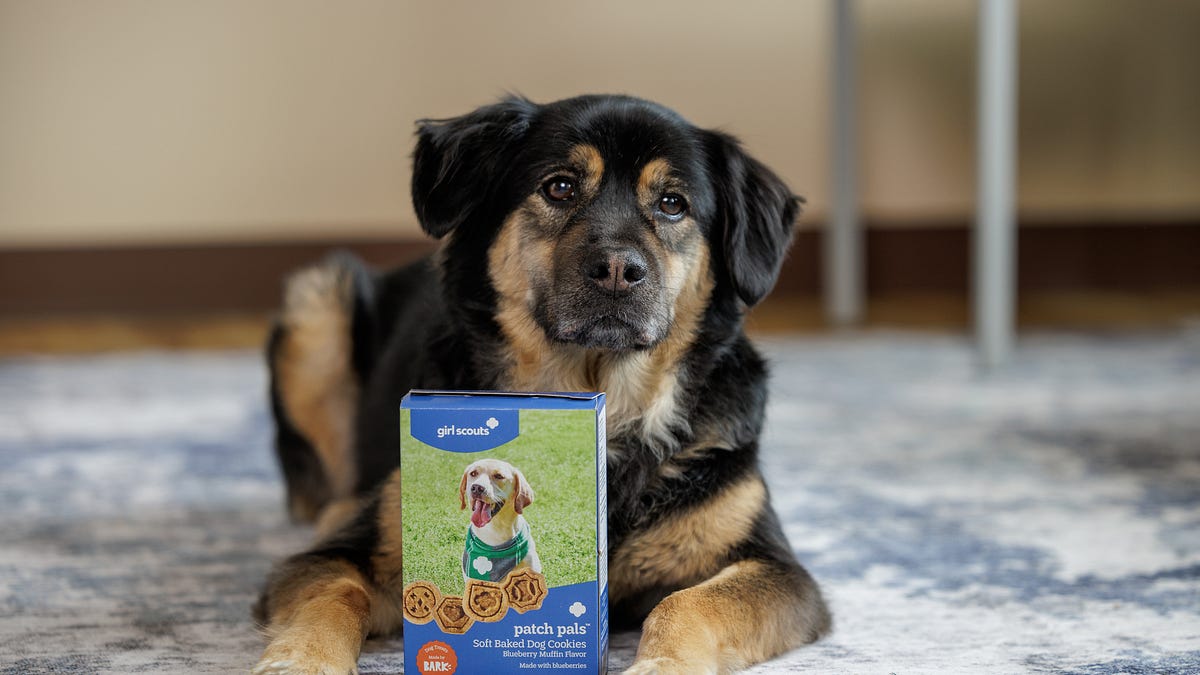 New Girl Scouts cookies deliver the sweet treats to these first-time customers
