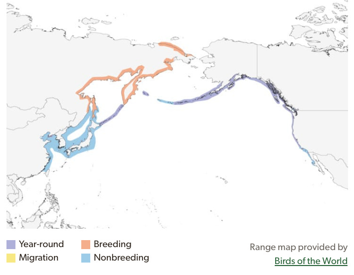 Screenshot 2025-06-15 at 10.51.30 AM.png Screenshot 2025-06-15 at 10.51.30 AM.png