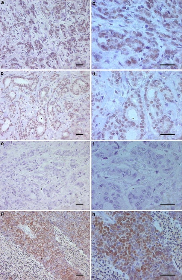 figure 4 figure 4