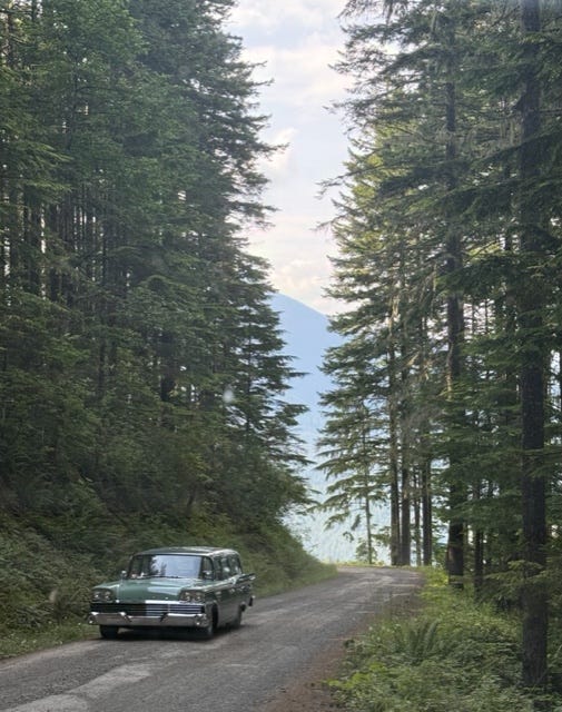 A car on a road with trees

AI-generated content may be incorrect.