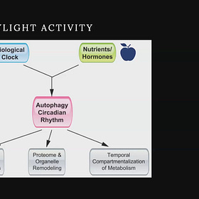 PART TWO - B: CIRCADIAN TIMING OF NUTRITIONAL INTAKE