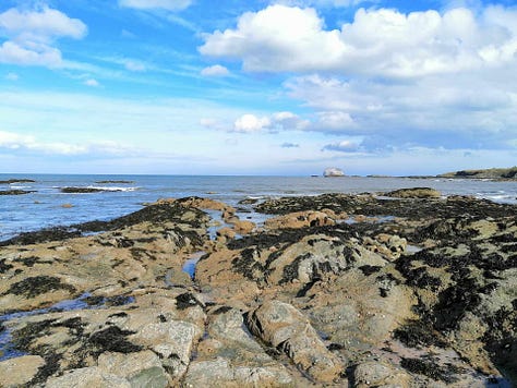 Gallery of North Berwick landscape