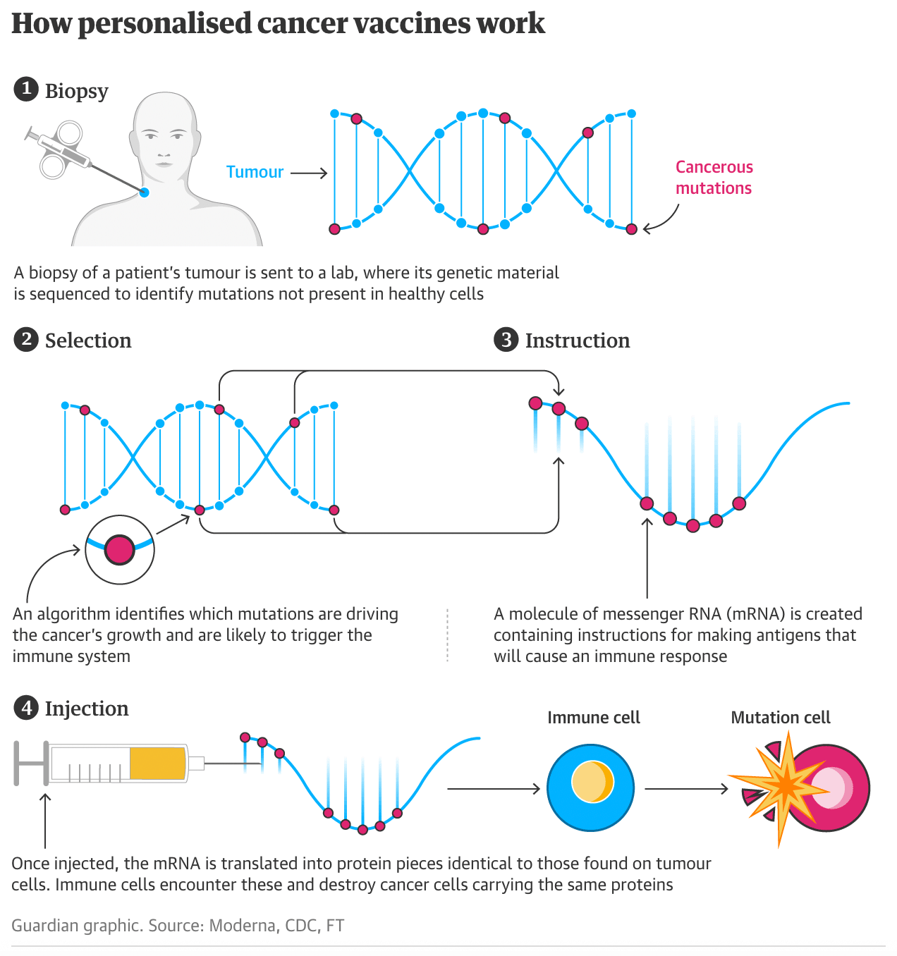 How personalized cancer vaccines work.