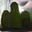 Hattie Watson's avatar