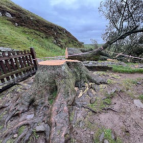 The Lead Digest: Skipton, secrets and the Sycamore Gap