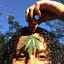 User's avatar
