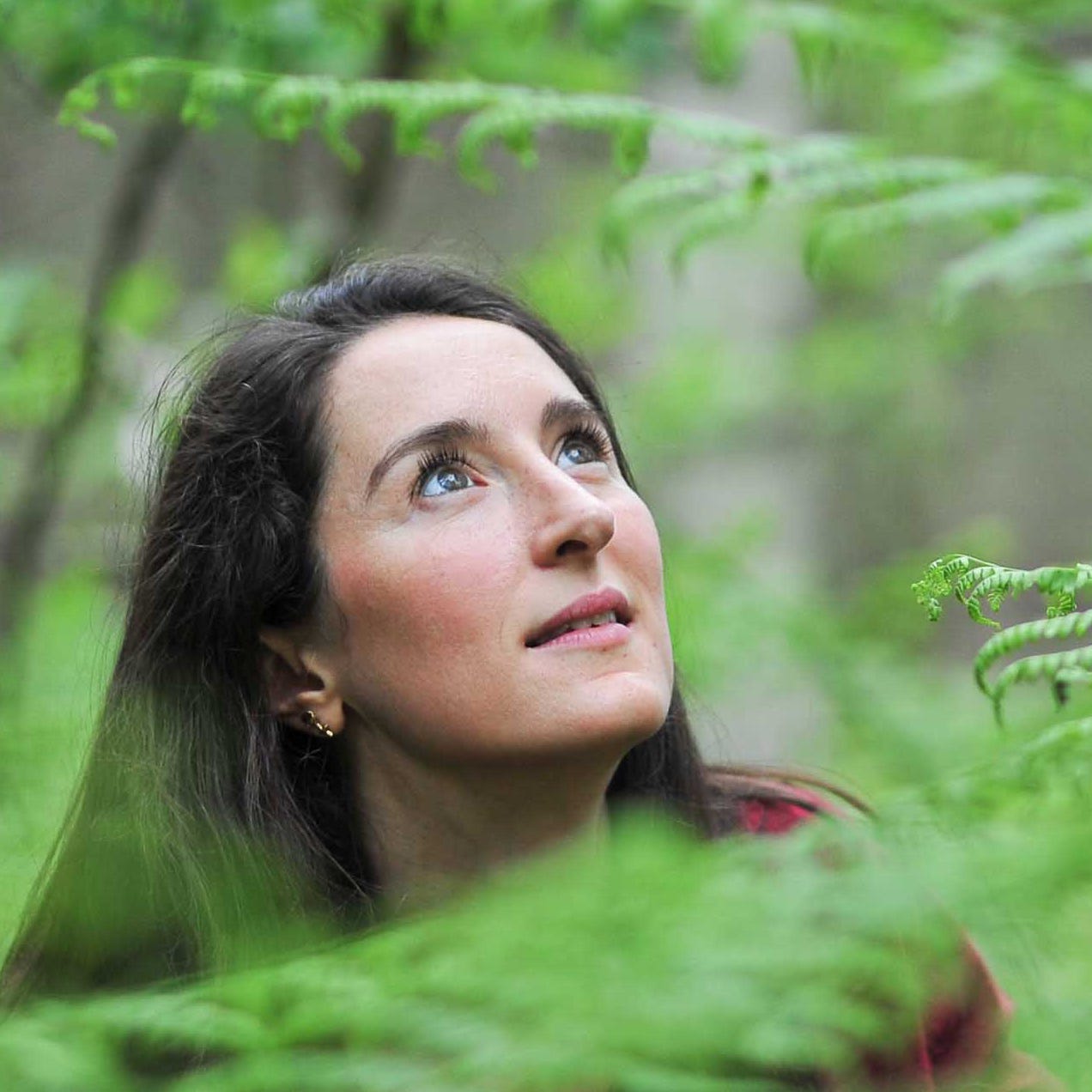 Explorer nos liens au Vivant