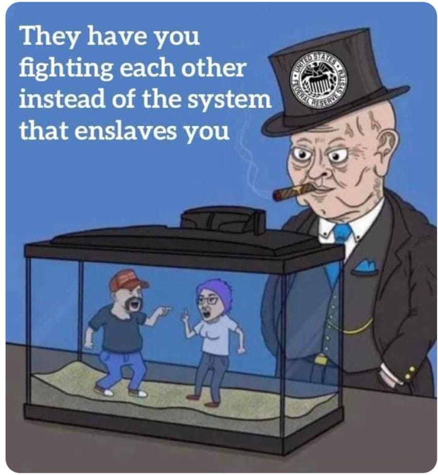 They Have You Fighting Each Other Instead of the System That Enslaves You They Have You Fighting Each Other Instead of the System That Enslaves You