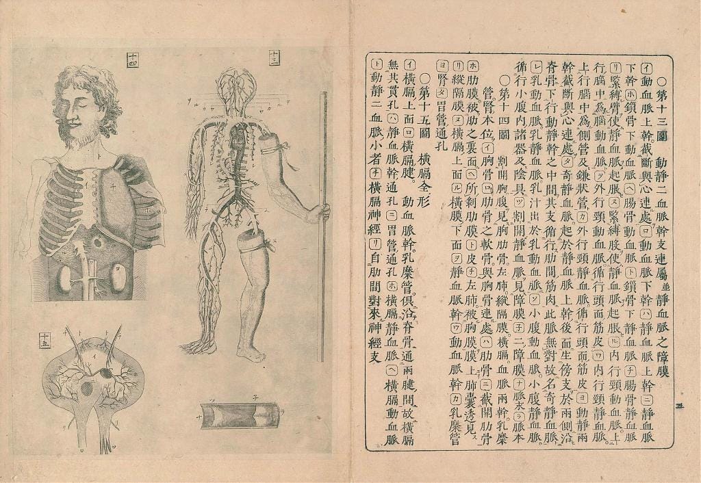 Anatomical charts by Rangaku scholar Udagawa Genshin Anatomical charts by Rangaku scholar Udagawa Genshin