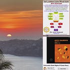 VIDEO [5hours;289minutes] 2015 European Congress on Antiviral Strategies and Immune Nutrition