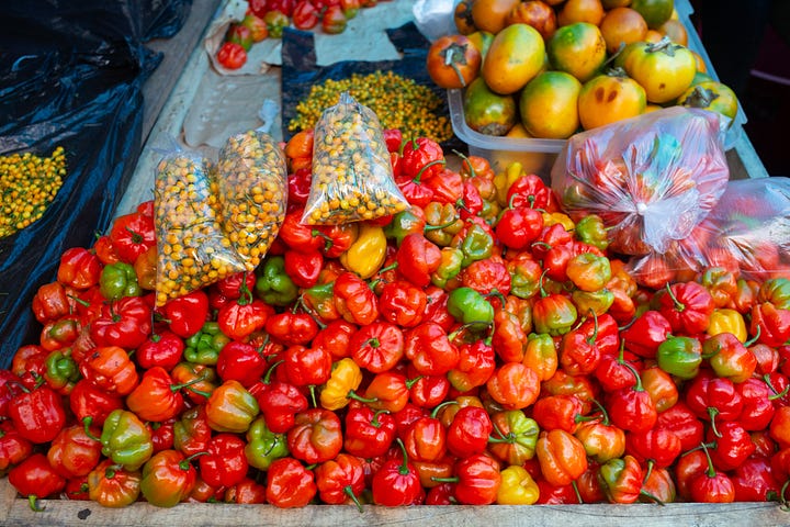 Colorful peppers and produce are neatly arranged into bundles and stacks at Belén Market.
