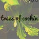 Trees of Cochin 