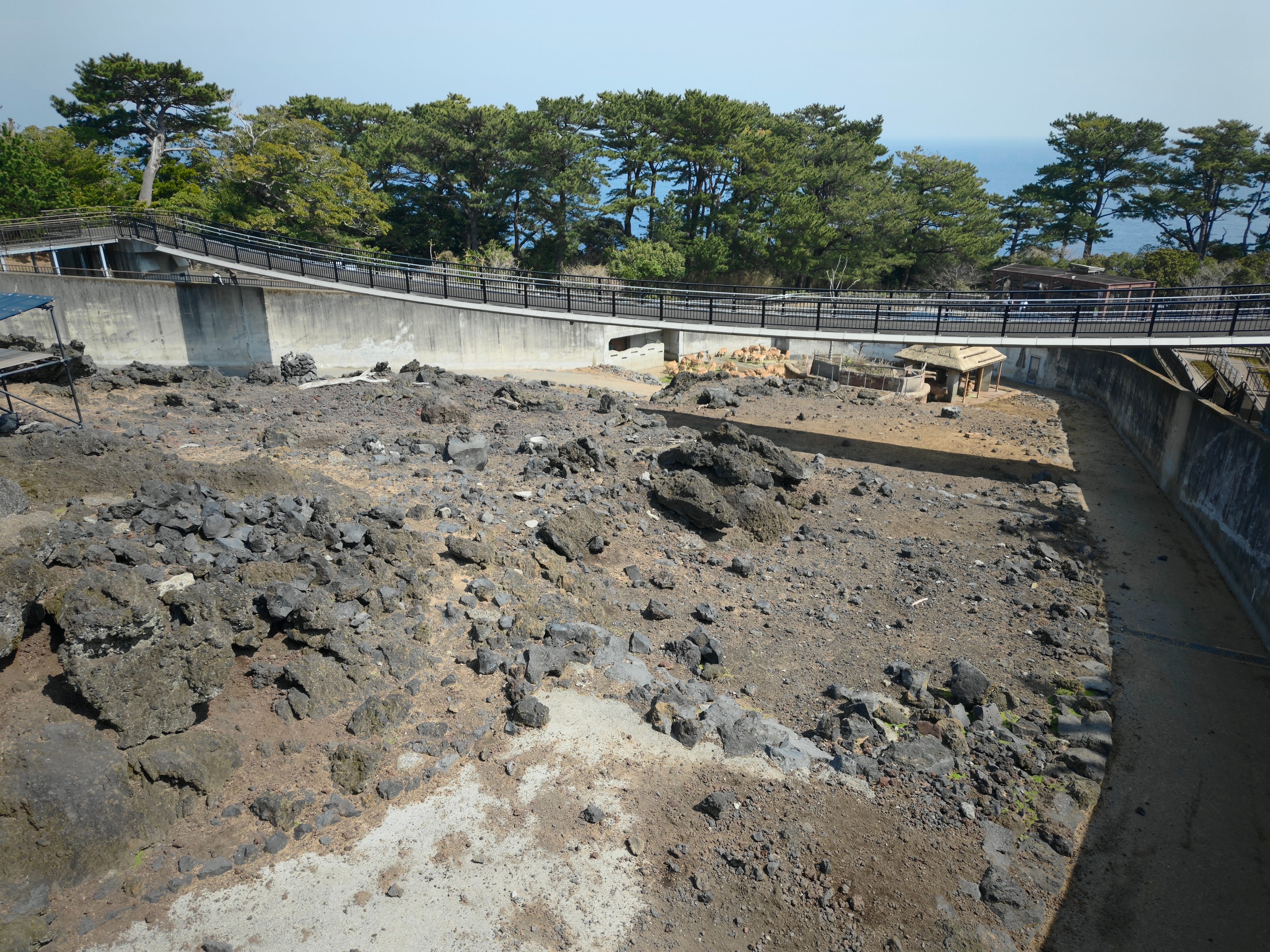 The Oppo Find N6 on Izu Oshima - by Sam Byford - Multicore