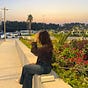 Taimaa Raed's avatar