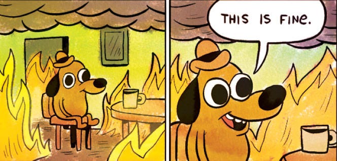 De « this is fine » à « this is not fine », l'histoire d'un « meme » qui a  du chien