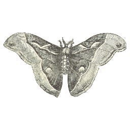 Mediatrix of the Liminal