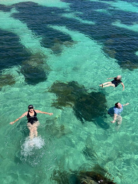 Clear blue water, a rugged coastline, women swimming, blowing out candles, a wallaby