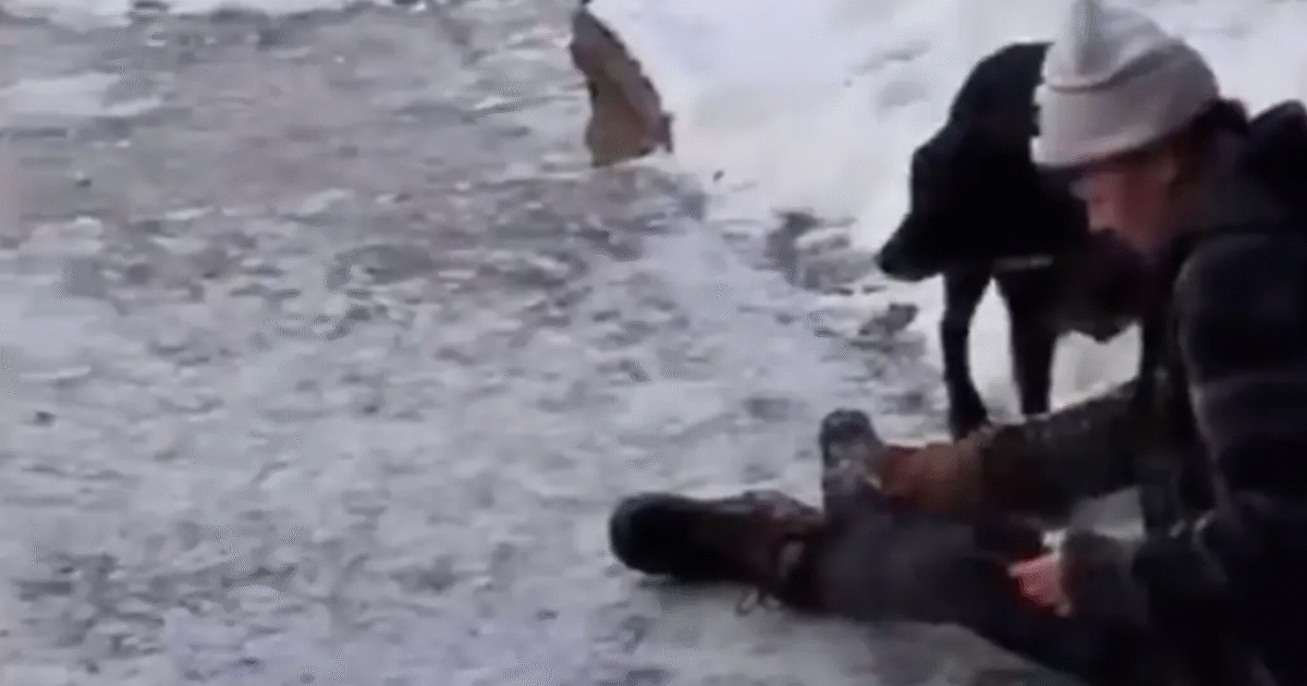 Person sitting on icy ground with a dog nearby, attempting to remove a boot in a snowy environment.