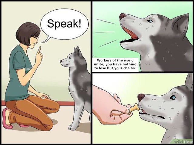 Good dog: CommunismMemes