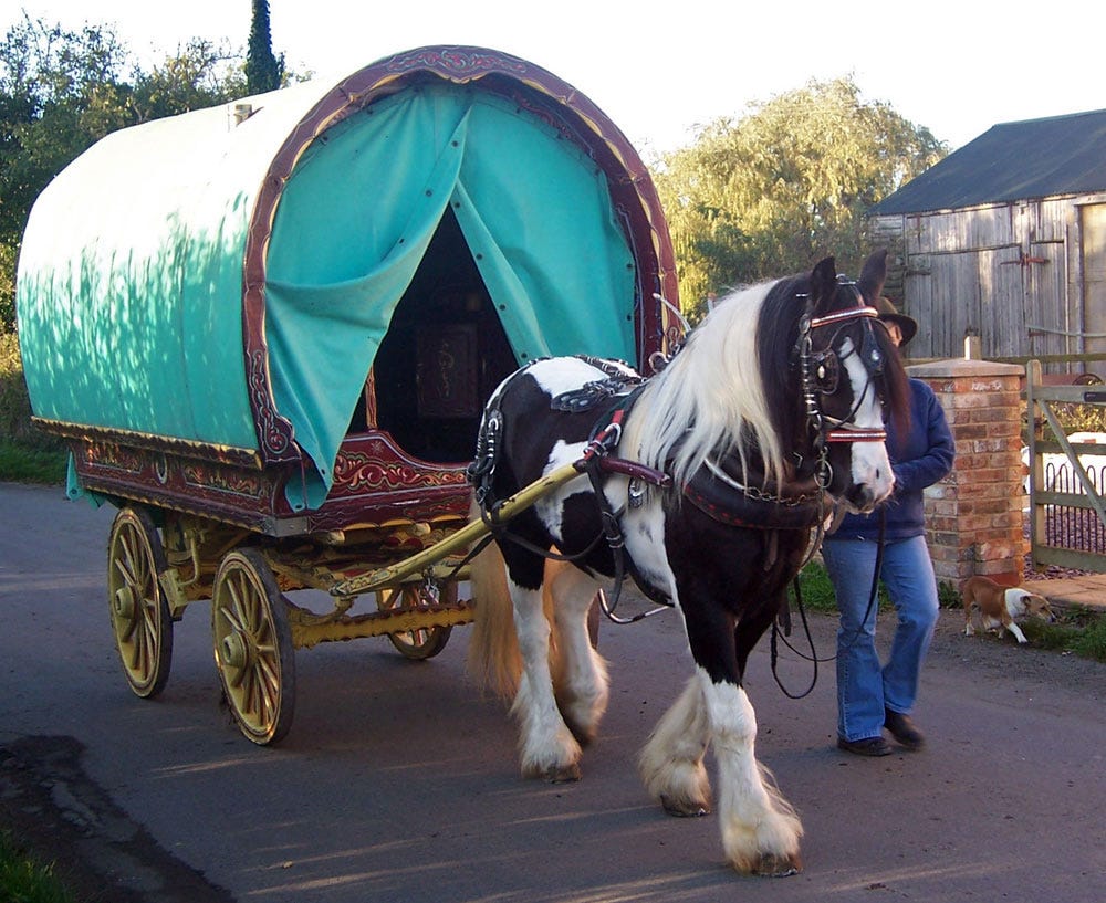 Gypsy Caravans « Surrey Springs Gypsy Cobs Australia