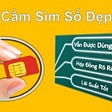 Cầm Sim's avatar