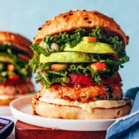 The Ultimate Salmon Burger - by Eden Morris - Pocket Snacks