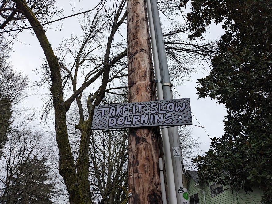 sign on a pole that reads "take it slow dolphins"