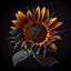 User's avatar