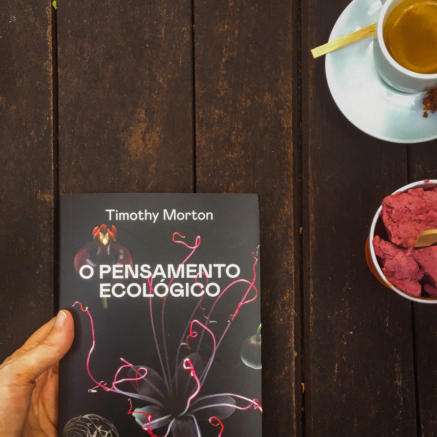 Em uma mesa de madeira escura, há um livro com o título "O pensamento ecológico". Há também um café e um sorvete. No livro, a capa é escura e há espécies da botânica brilhando.