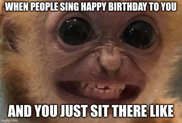 A grimacing monkey with the text "when people sing happy birthday to you and you just sit there like"