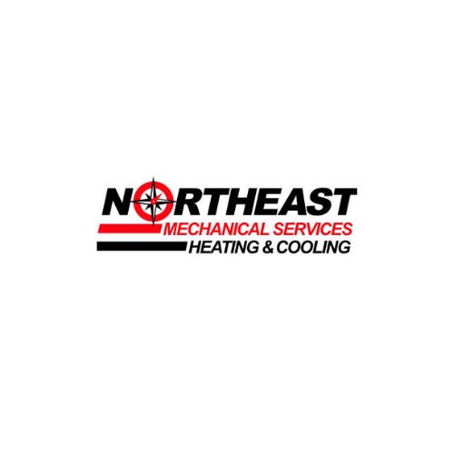 Substack profile picture for @northeast