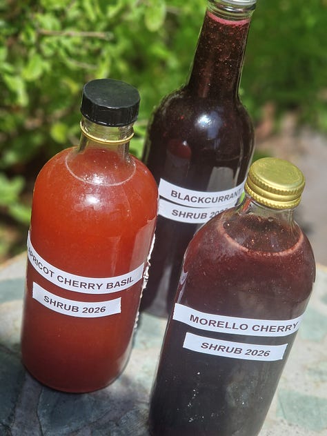 Apricot tree, a trio of shrubs, morello jam making