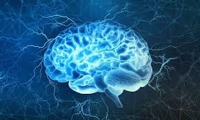 An Overview of How Human Memory Works