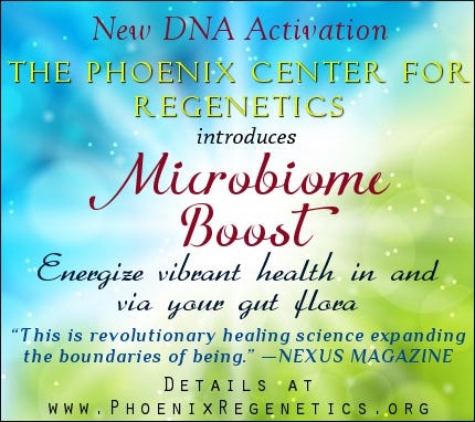 🩻 Energize Vibrant Health in & via Your Gut Flora w/ Microbiome Boost