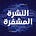 النشرة المشفرة's avatar