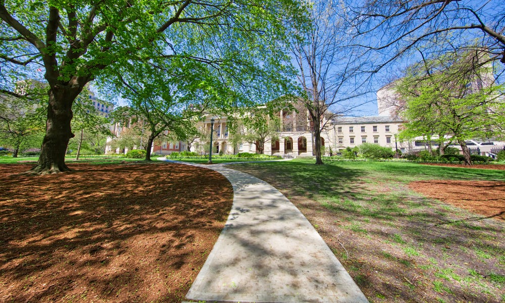 theline.substack.com