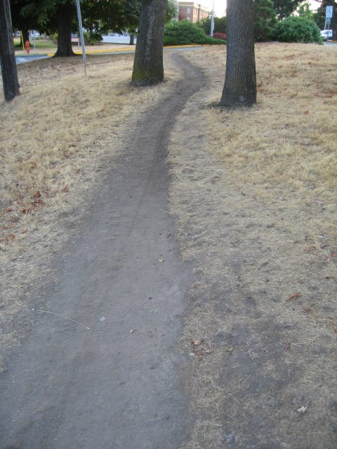 https://upload.wikimedia.org/wikipedia/commons/2/2d/Desire_line.jpg