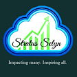 Stratus Selyn Advisory's avatar