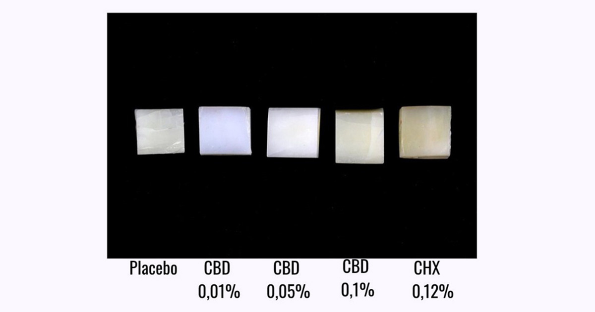 Pedaços quadrados de diferentes cores entre branco e amarelado sobre um fundo preto Pedaços quadrados de diferentes cores entre branco e amarelado sobre um fundo preto