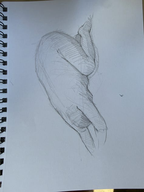 Drawings from the day