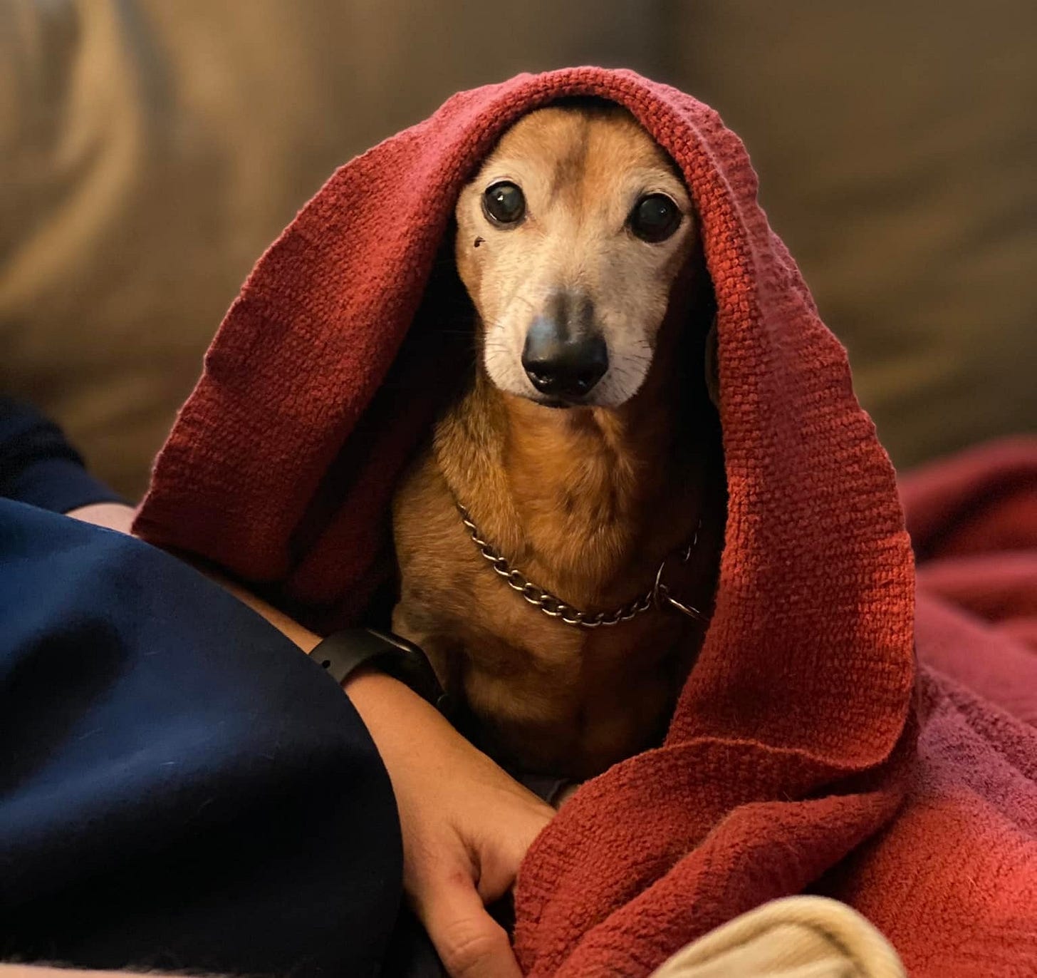 No photo description available.