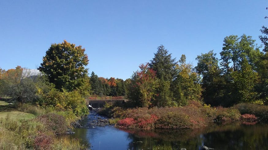 Fall colours at Queensborough Mill Pond.