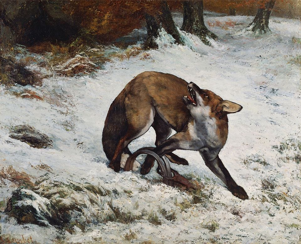 Pintura a oleo retratando uma raposa na neve com a pata em uma armadilha. A raposa parece ter acabado de pisar desavisada e expressa uma certa agonia.