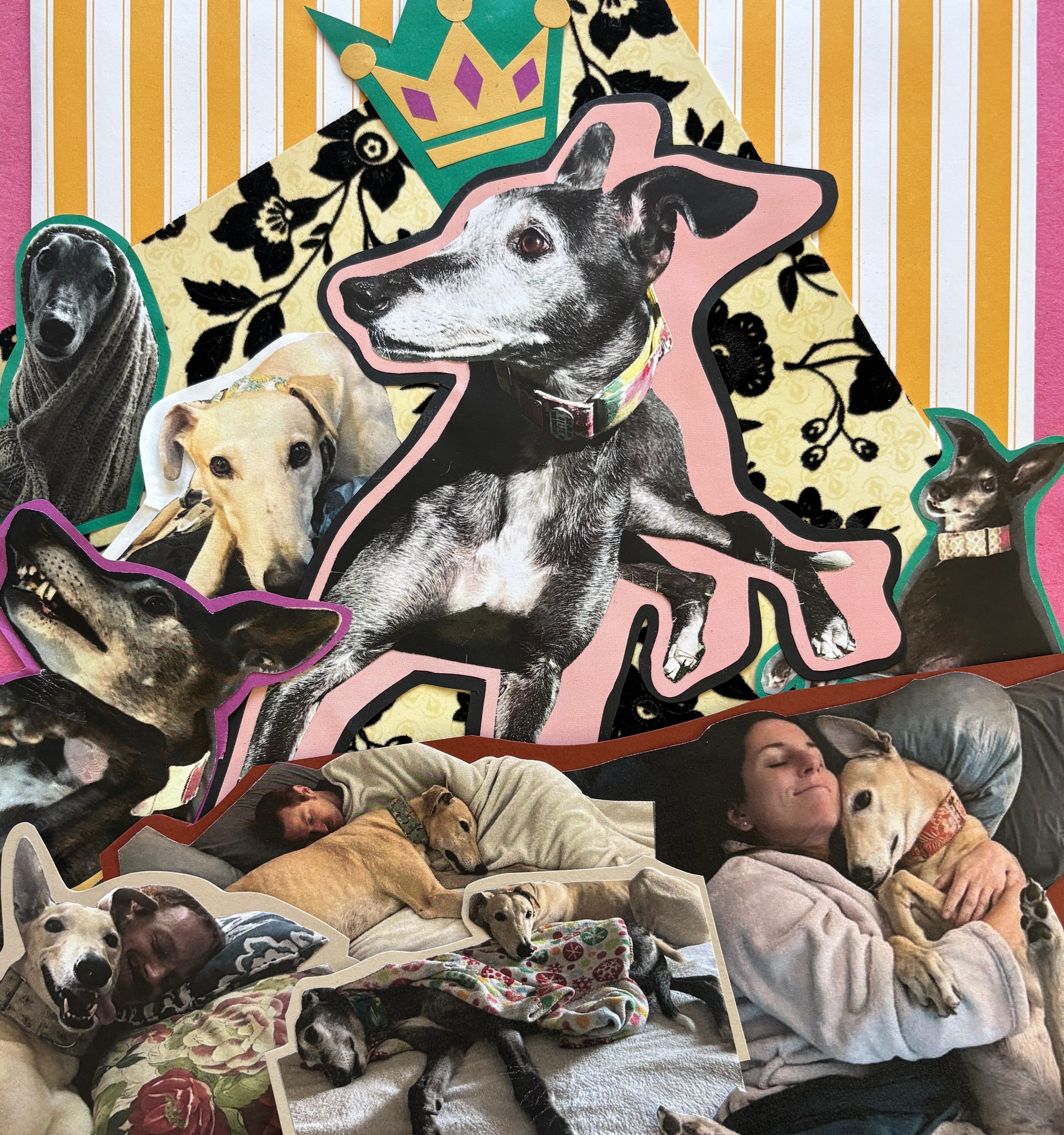 The First Walk Without Dogs - by Christine Ochs-Naderer