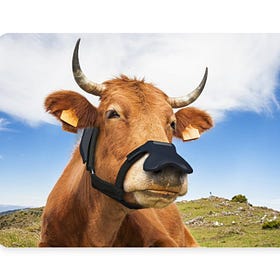 The Bill & Melinda Gates Foundation Just Announced a $4.7 Million Grant for a Company That Sells Face Masks for Cows